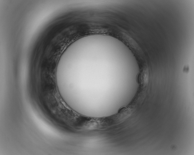 X0000113350764200909291055