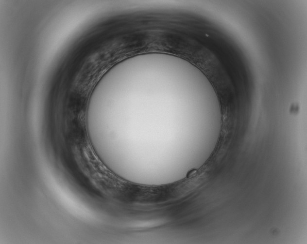 X0000113350765200909291055