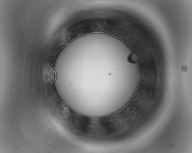 X0000113350766200909291055