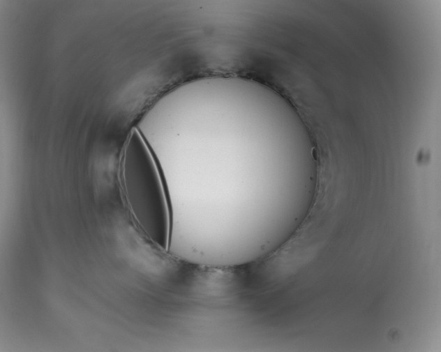 X0000113350768200909291055