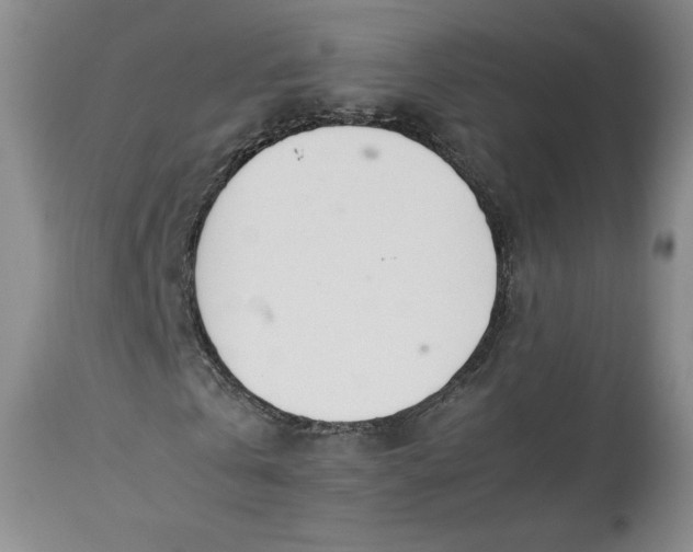 X0000113350769200909291054