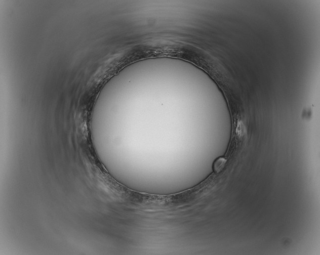 X0000113350771200909291054