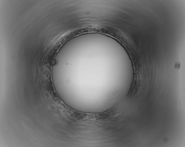 X0000113350773200909291054