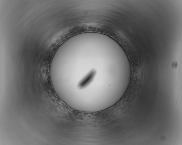 X0000113350774200909291054