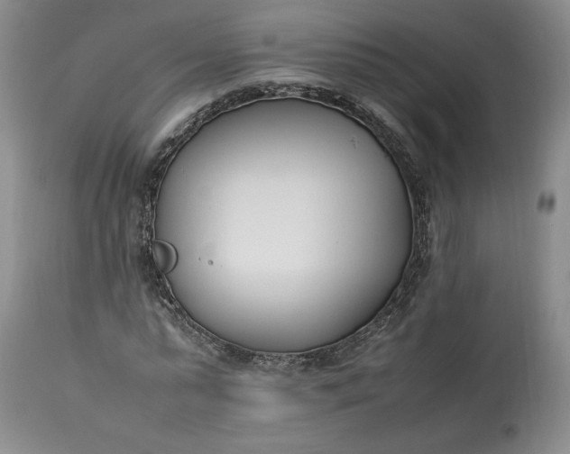 X0000113350775200909291054