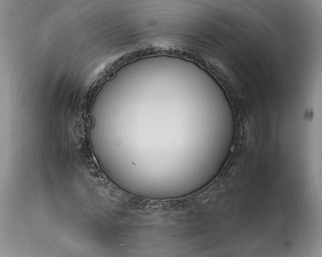 X0000113350776200909291054