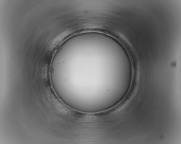 X0000113350777200909291054