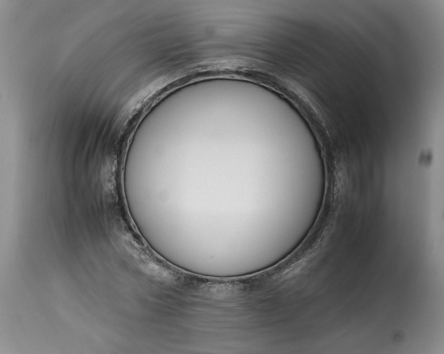X0000113350778200909291054