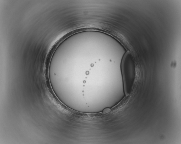 X0000113350780200909291054