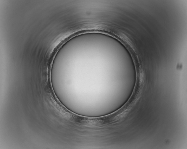 X0000113350781200909291054