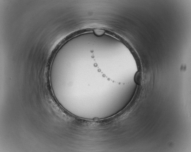 X0000113350783200909291054