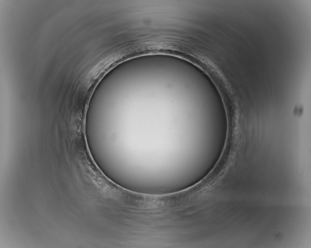 X0000113350785200909291054