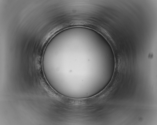 X0000113350786200909291054