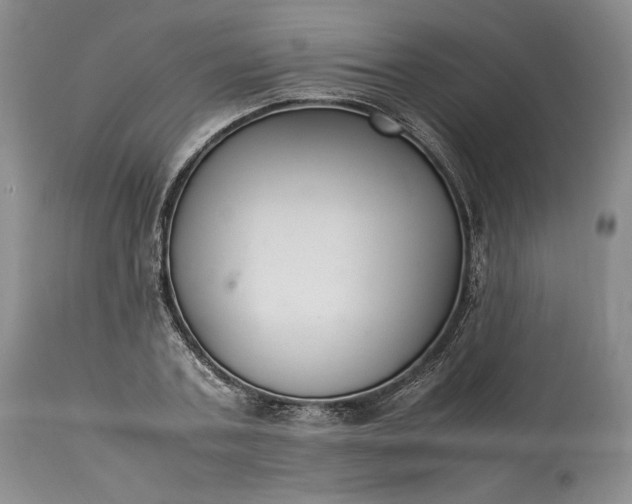 X0000113350787200909291054