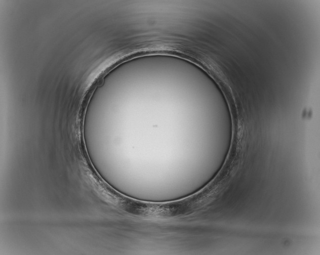 X0000113350789200909291054