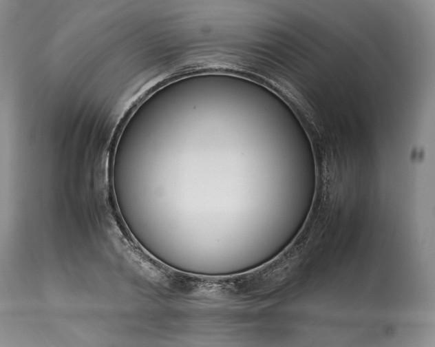 X0000113350790200909291054