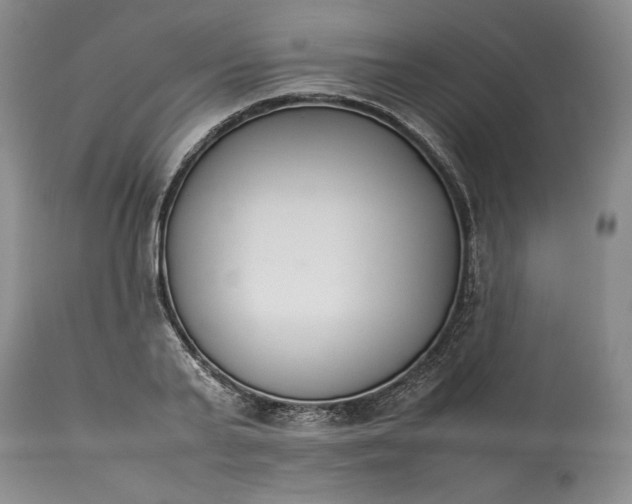 X0000113350791200909291054