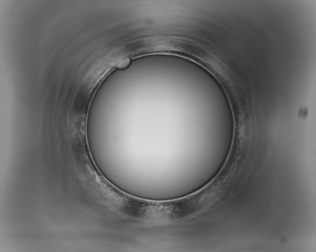 X0000113350793200909291054