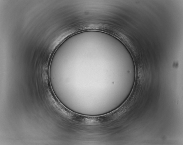 X0000113350794200909291054