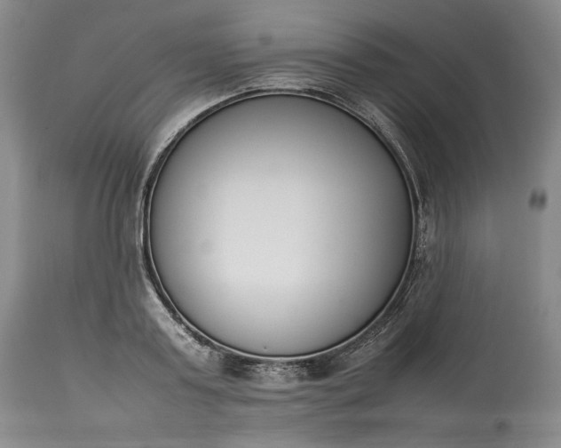 X0000113350795200909291054