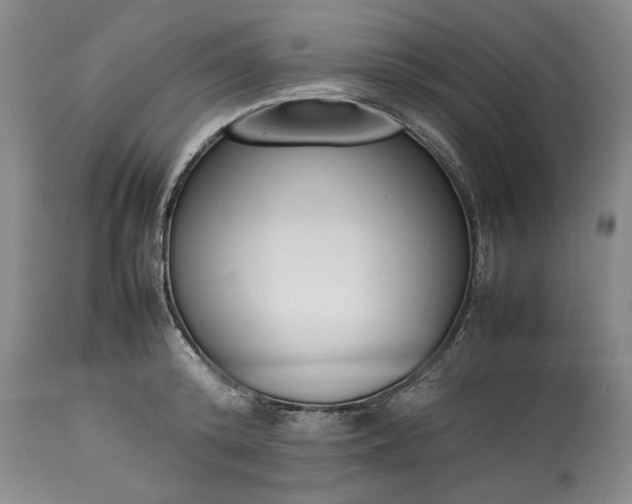 X0000113350800200909291054