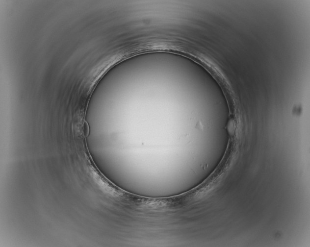 X0000113350801200909291054
