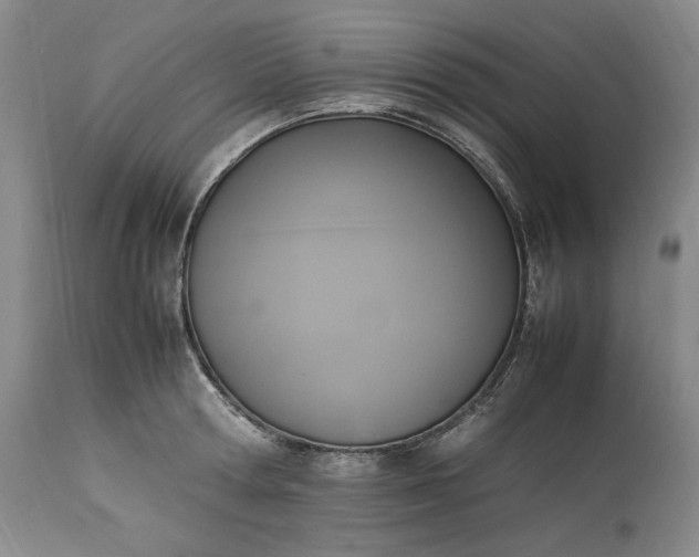 X0000113350802200909291054