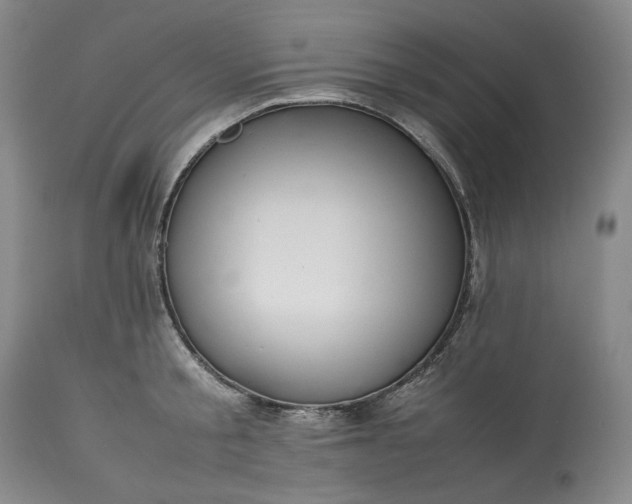 X0000113350805200909291054