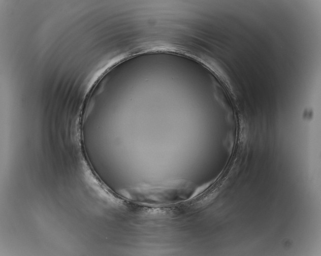 X0000113350806200909291054