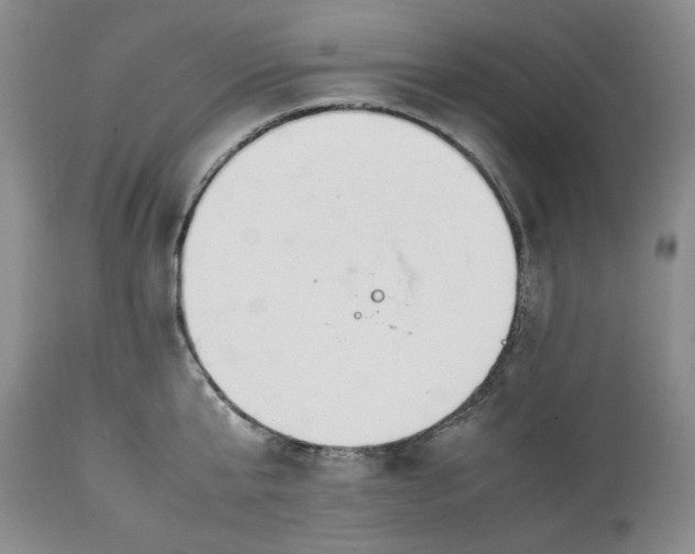 X0000113350807200909291054