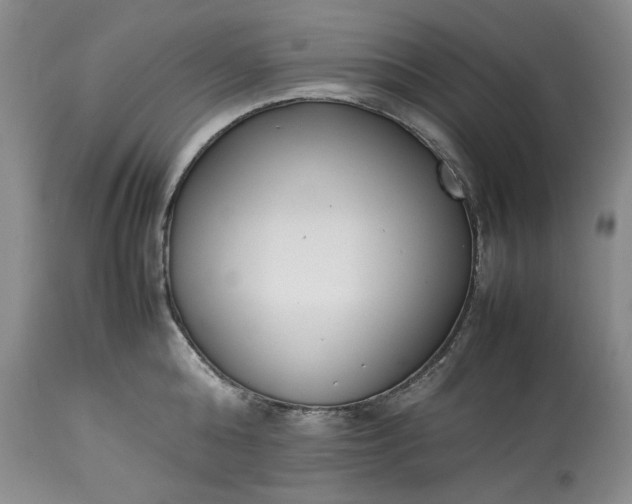 X0000113350808200909291054