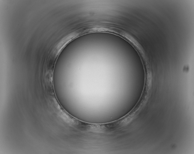X0000113350809200909291054