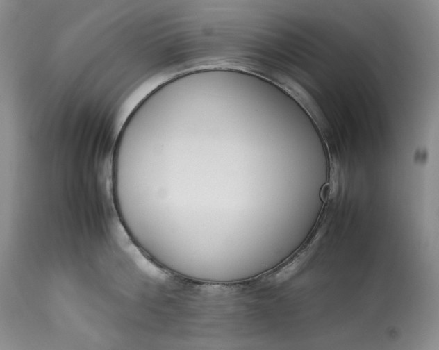 X0000113350812200909291054