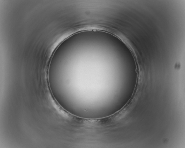 X0000113350813200909291054