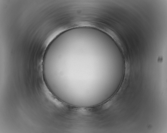 X0000113350814200909291054