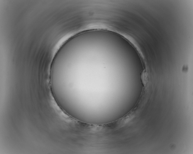 X0000113350815200909291053