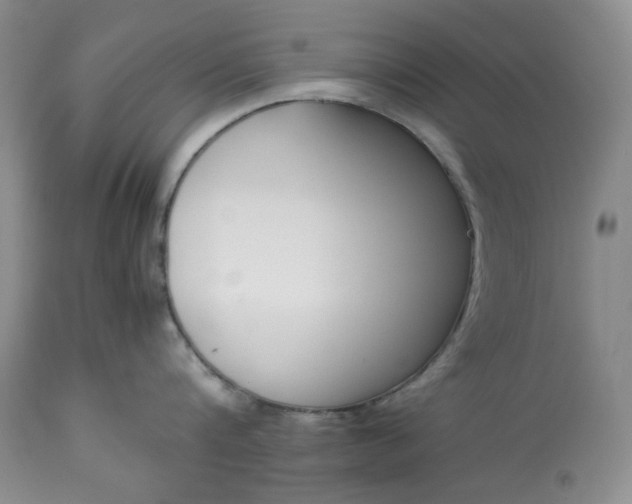 X0000113350816200909291053