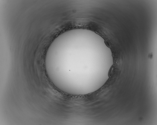 X0000113350817200909291053