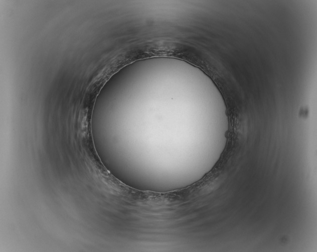 X0000113350818200909291053