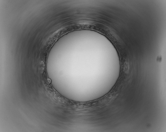 X0000113350821200909291053