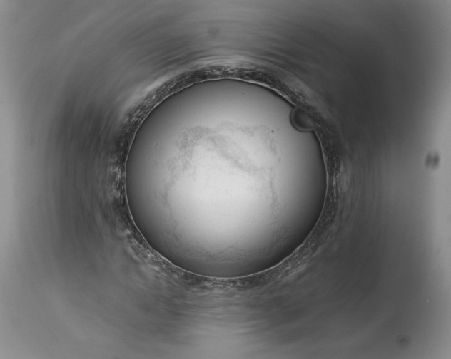 X0000113350822200909291053