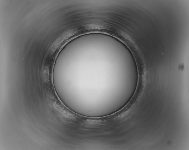 X0000113350825200909291053