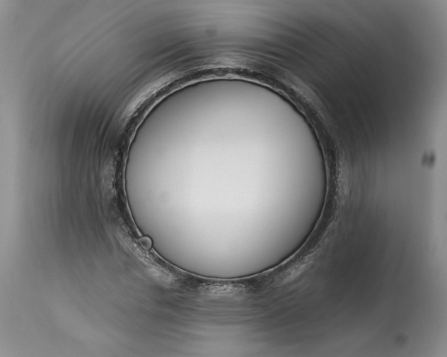 X0000113350826200909291053