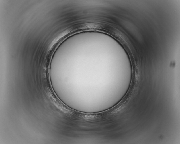 X0000113350827200909291053