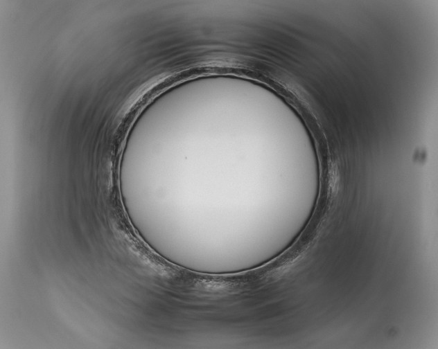 X0000113350829200909291053