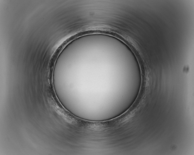 X0000113350830200909291053