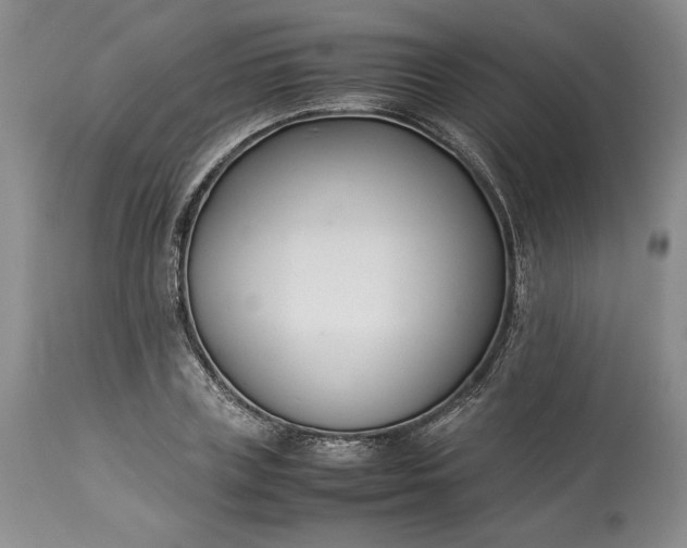 X0000113350835200909291053