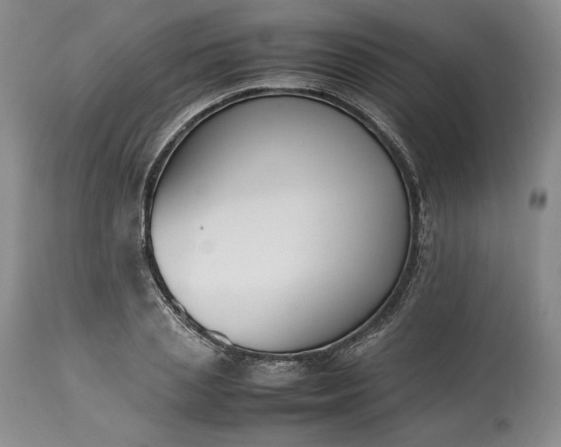 X0000113350837200909291053