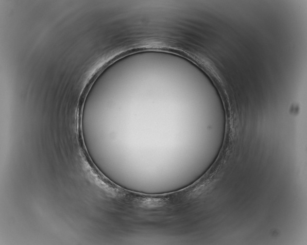 X0000113350839200909291053