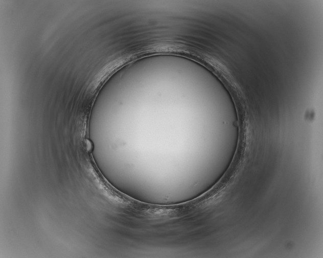 X0000113350841200909291053